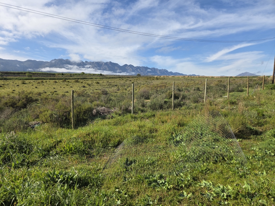 0 Bedroom Property for Sale in Tulbagh Western Cape
